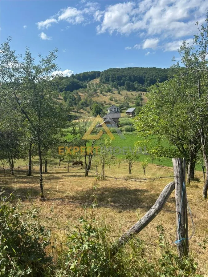 Casa si teren in Buteasa- Somcuta Mare la doar 55.000 euro negociabil - foto 22