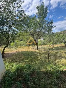 Casa si teren in Buteasa- Somcuta Mare la doar 55.000 euro negociabil - foto 24