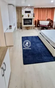 Apartament 3 camere de închiriat Copou - foto 10