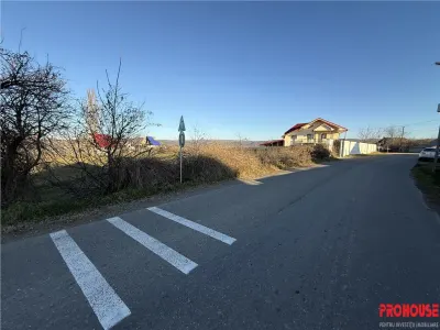 Holt- Letea Veche- teren 1620 mp- stradal 38ml - foto 3