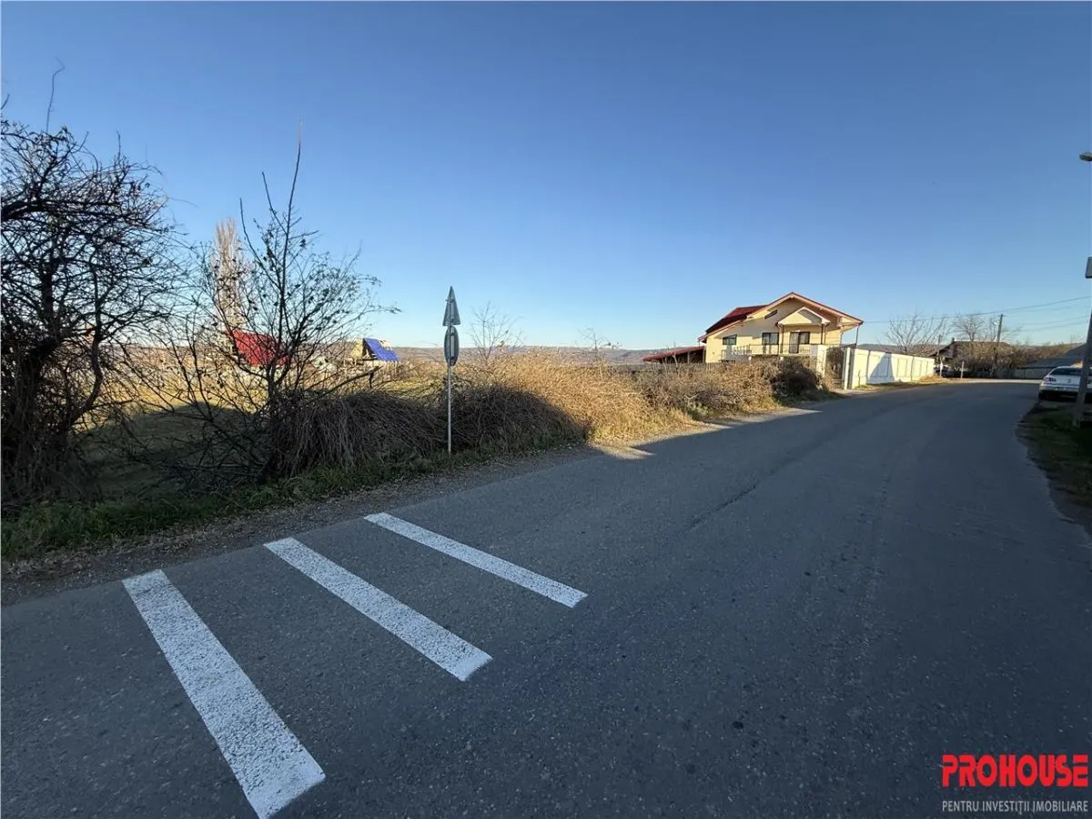 Holt- Letea Veche- teren 1620 mp- stradal 38ml - foto 3