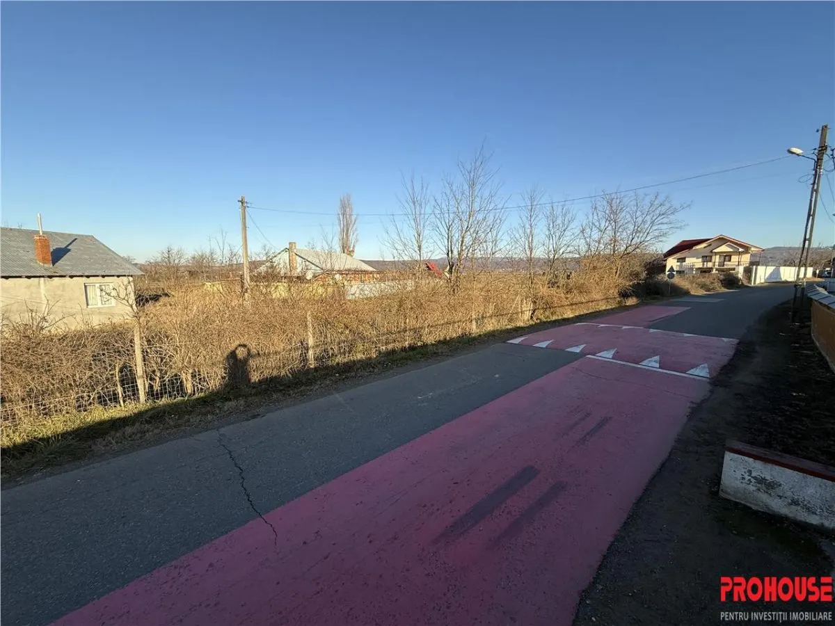 Holt- Letea Veche- teren 1620 mp- stradal 38ml - foto 4