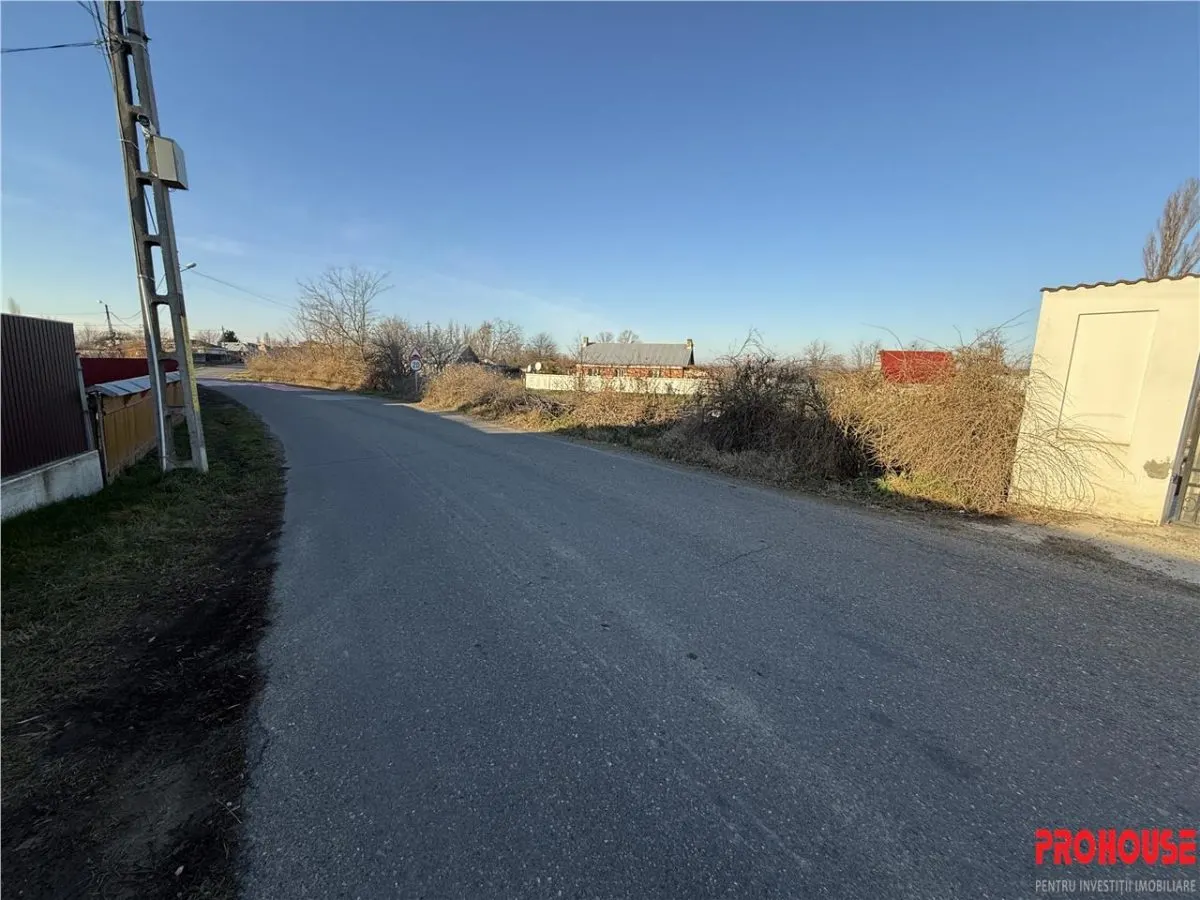 Holt- Letea Veche- teren 1620 mp- stradal 38ml - foto 5