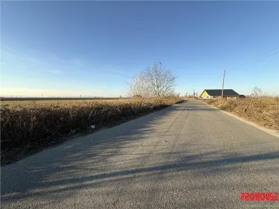 Letea Veche- Holt - 3.600mp - extravilan - foto 3