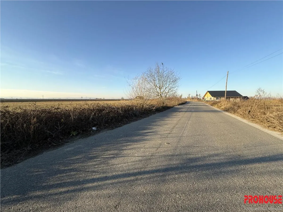 Letea Veche- Holt - 3.600mp - extravilan - foto 3