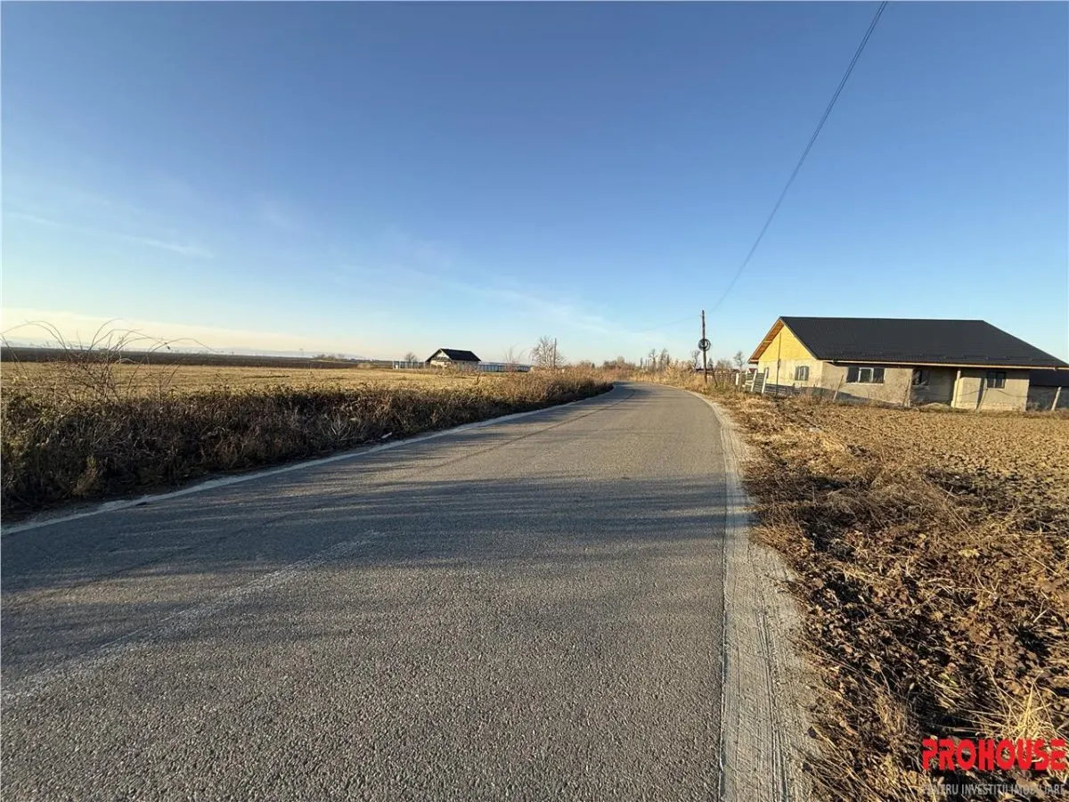 Letea Veche- Holt - 3.600mp - extravilan - foto 4