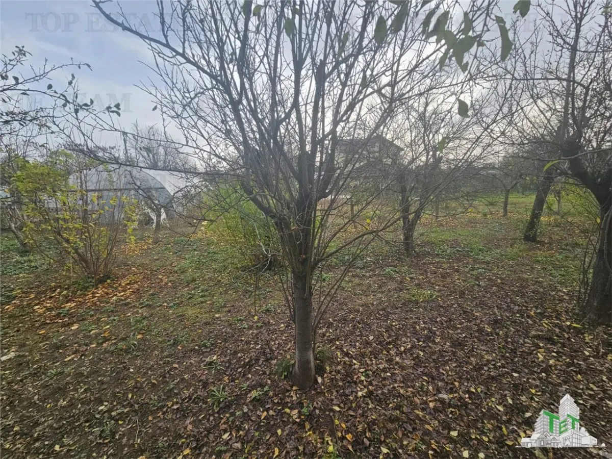 Loturi 500mp intre case langa Padurea Teghes - foto 3