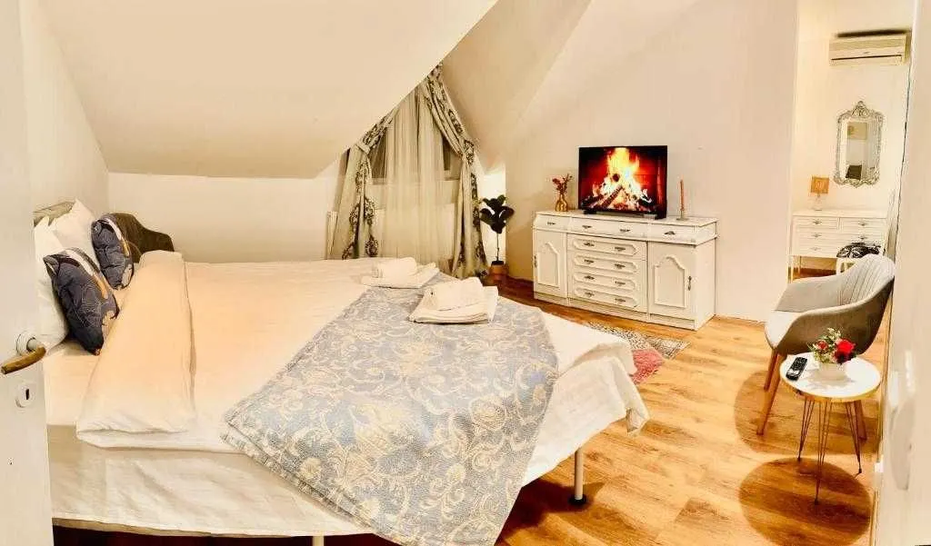 VILA/Casă ULTRACENTRAL IASI - 1500 EURO - foto 3