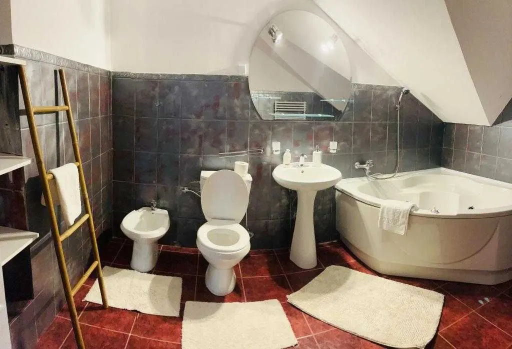 VILA/Casă ULTRACENTRAL IASI - 1500 EURO - foto 6