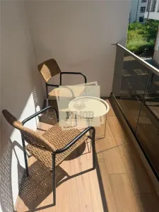 Apartament prima inchiriere 2 camere balcon garaj pe Doamna Stanca - foto 8