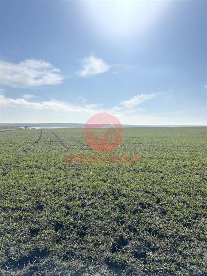 Teren Intravilan,  3 Loturi de 700 mp, Aproape de Lac - Techirghiol - foto 4