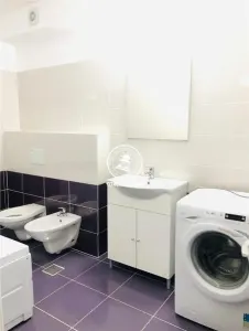 Apartament 4 camere  de vanzare  Bucium - Hlincea, - foto 11