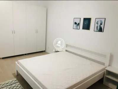 Apartament 4 camere  de vanzare  Bucium - Hlincea, - foto 8