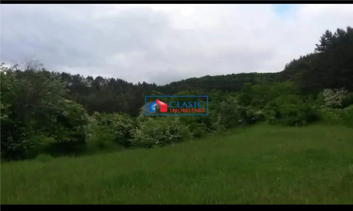 Vanzare teren intravilan 1540 mp in Faget - zona Sf Ion - foto 2