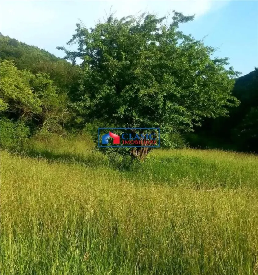 Vanzare teren intravilan 1540 mp in Faget - zona Sf Ion - foto 3