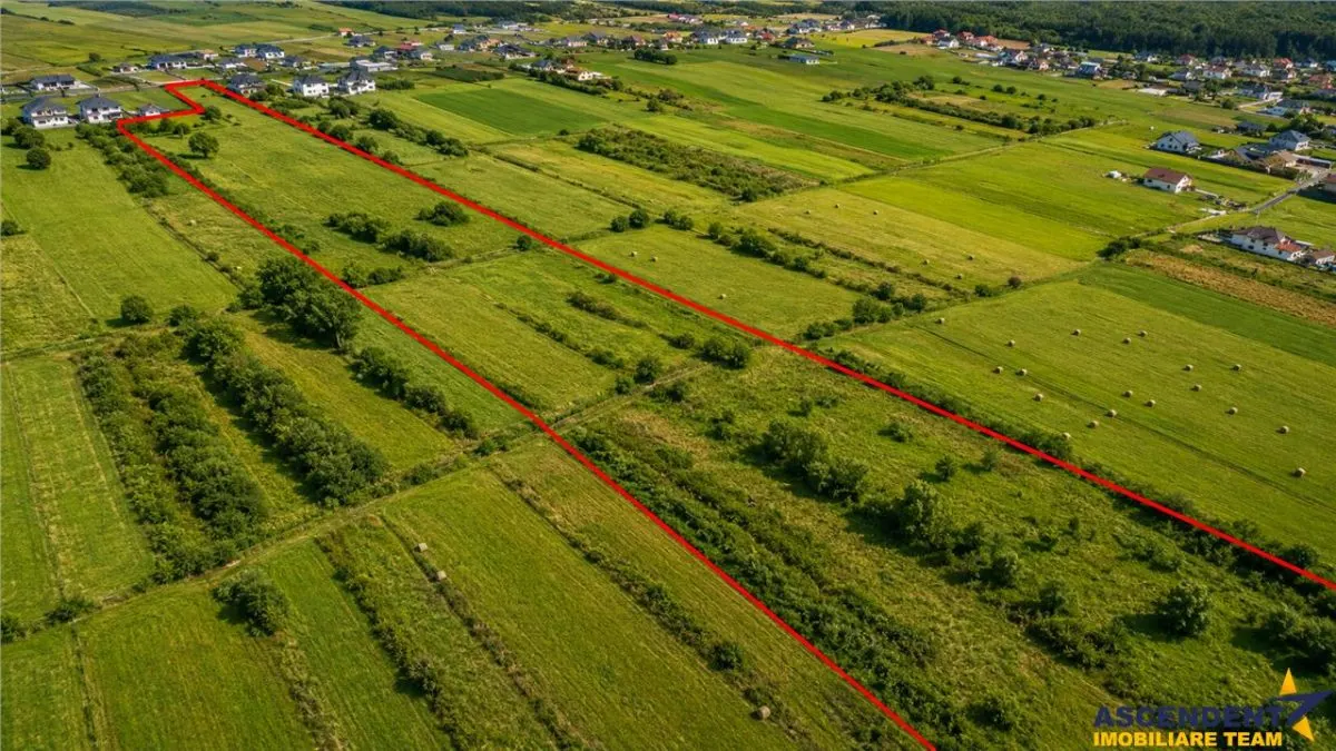 FILM!22.300 mp,activ imobiliar cu valoare adaugata:turism,wellness,rezidential, Solovastru,Mures - foto 2