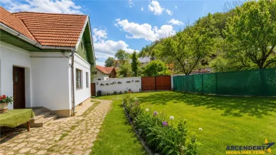 Pe domeniu de 1.750mp, rezidenta in Central, Sacele, Brasov - Sacele