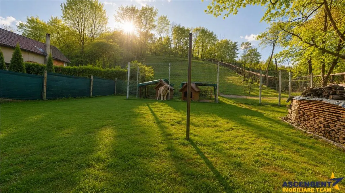 Pe domeniu de 1.750mp, rezidenta in Central, Sacele, Brasov - foto 7