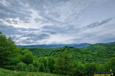 7.000 mp, pozitie spectaculoasa, fara vecini, Fundatica, Brasov - foto 4