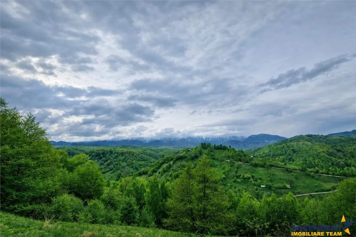 7.000 mp, pozitie spectaculoasa, fara vecini, Fundatica, Brasov - foto 4