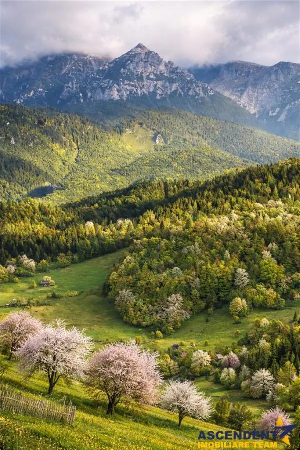 7.000 mp, pozitie spectaculoasa, fara vecini, Fundatica, Brasov - foto 7