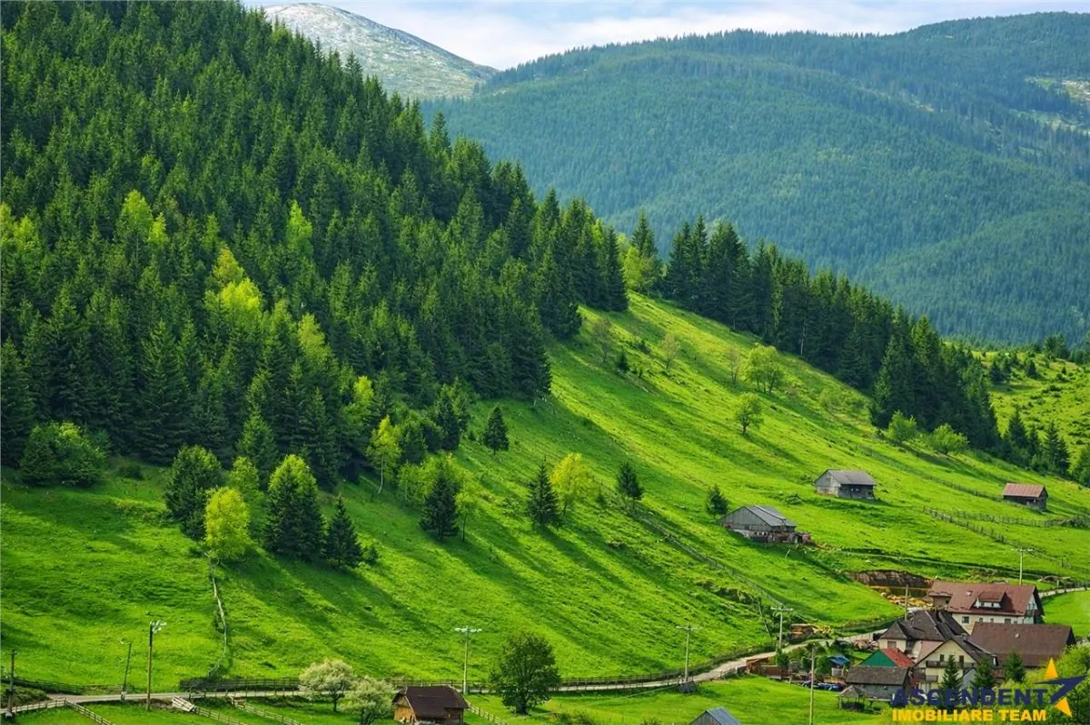 7.000 mp, pozitie spectaculoasa, fara vecini, Fundatica, Brasov - foto 9