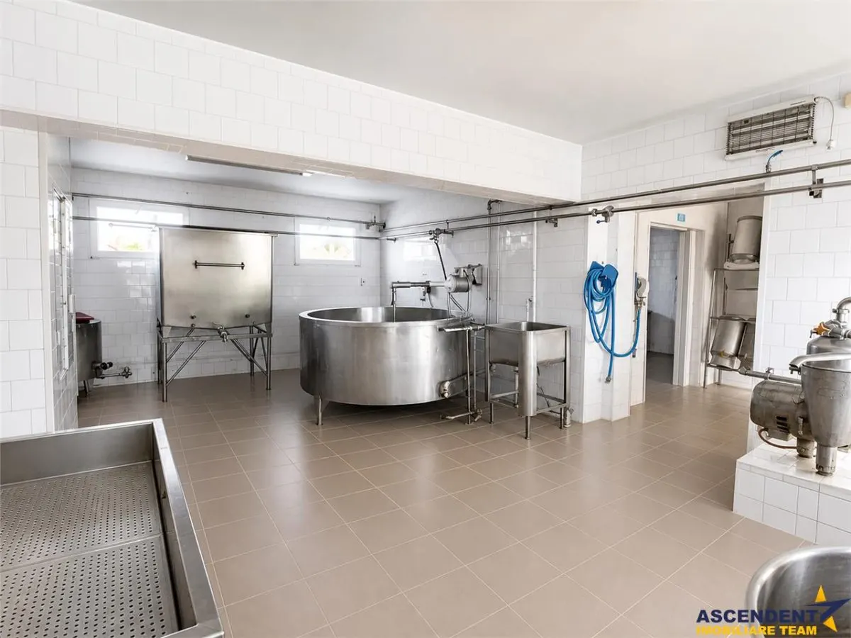 Unitate de procesare alimentara:potential industrial/investitional+birouri +1.300mp teren, Ilieni, Covasna - foto 13