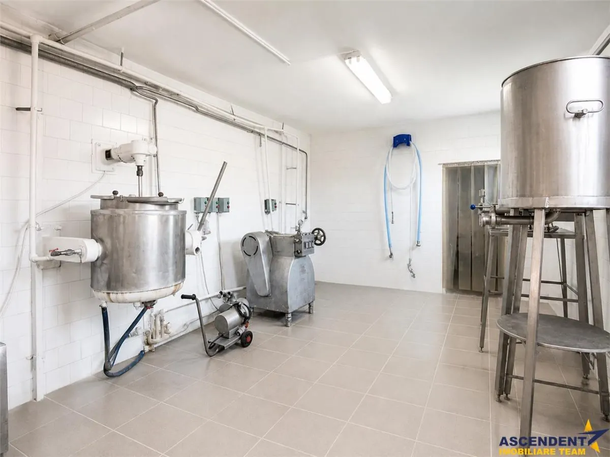 Unitate de procesare alimentara:potential industrial/investitional+birouri +1.300mp teren, Ilieni, Covasna - foto 6