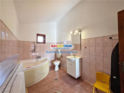 Casa individuala (P+1+M), Balotesti, Martha Bibescu - foto 25