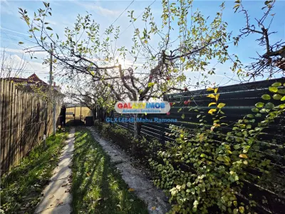 Casa individuala (P+1+M), Balotesti, Martha Bibescu - foto 4