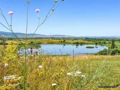 Teren 14.000 mp in statiunea Covasna, ideal pentru rezidential/vacanta sau agrement - foto 6