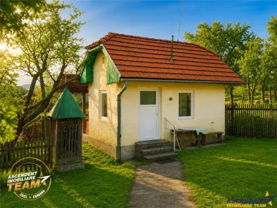 FILM! Oaza ta de liniste pe 0.5ha teren intravilan, Dalnic, Covasna - foto 18