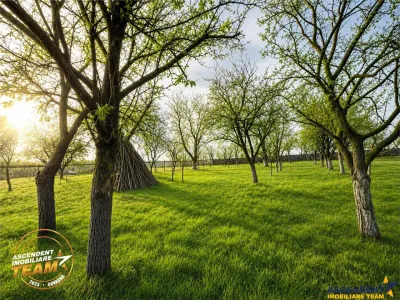 FILM! Oaza ta de liniste pe 0.5ha teren intravilan, Dalnic, Covasna - foto 6