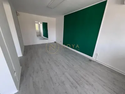 Vila individuala de vanzare cu 7 camere - zona Banu Manta Ion Mihalache - foto 38