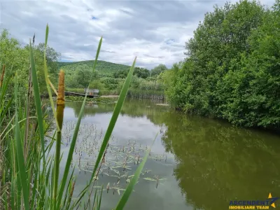 Domeniu de 30.000 mp + lac propriu +Vila protocol + Special - foto 9