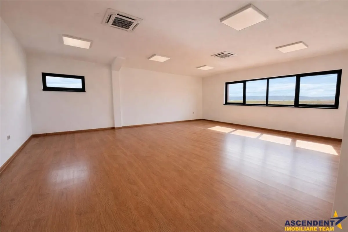 Hala productie premium+pachet afacere, domeniu de 4.700 mp teren,Solovastru, Mures - foto 6