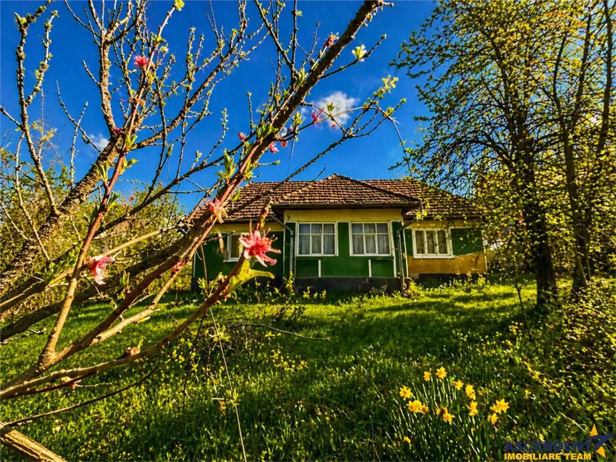 Domeniu de 3.400 mp cu traditionala casa, Suveica, Acatari Mures - foto 2