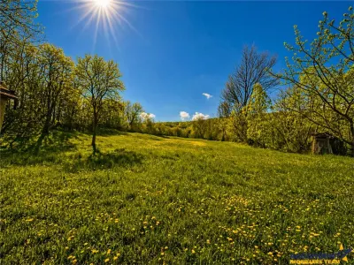 Domeniu de 3.400 mp cu traditionala casa, Suveica, Acatari Mures - foto 12