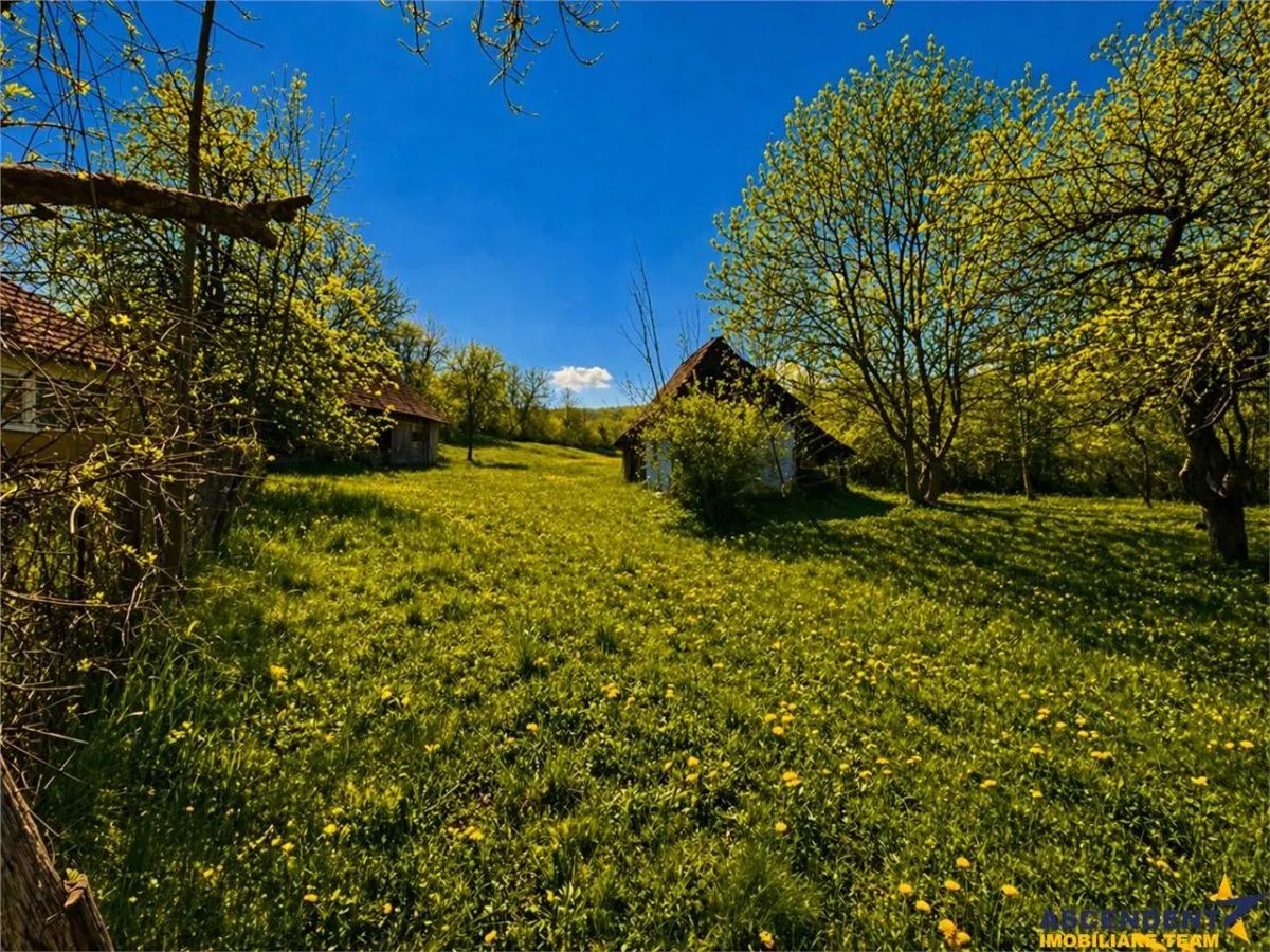 Domeniu de 3.400 mp cu traditionala casa, Suveica, Acatari Mures - foto 4