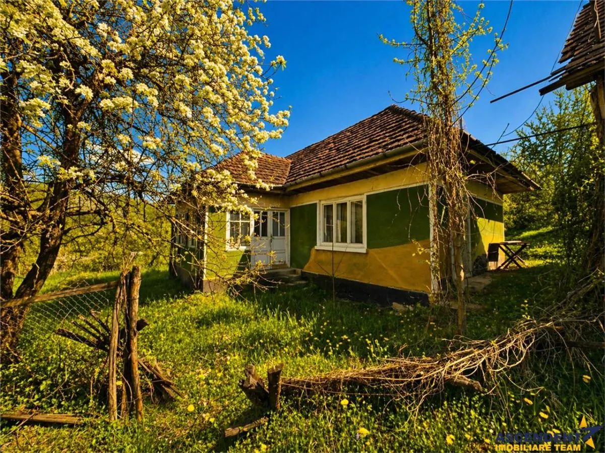 Domeniu de 3.400 mp cu traditionala casa, Suveica, Acatari Mures - foto 9