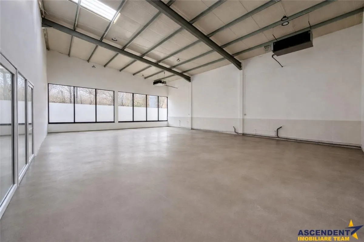 Hala productie premium+pachet afacere, domeniu de 4.700 mp teren,Solovastru, Mures - foto 4