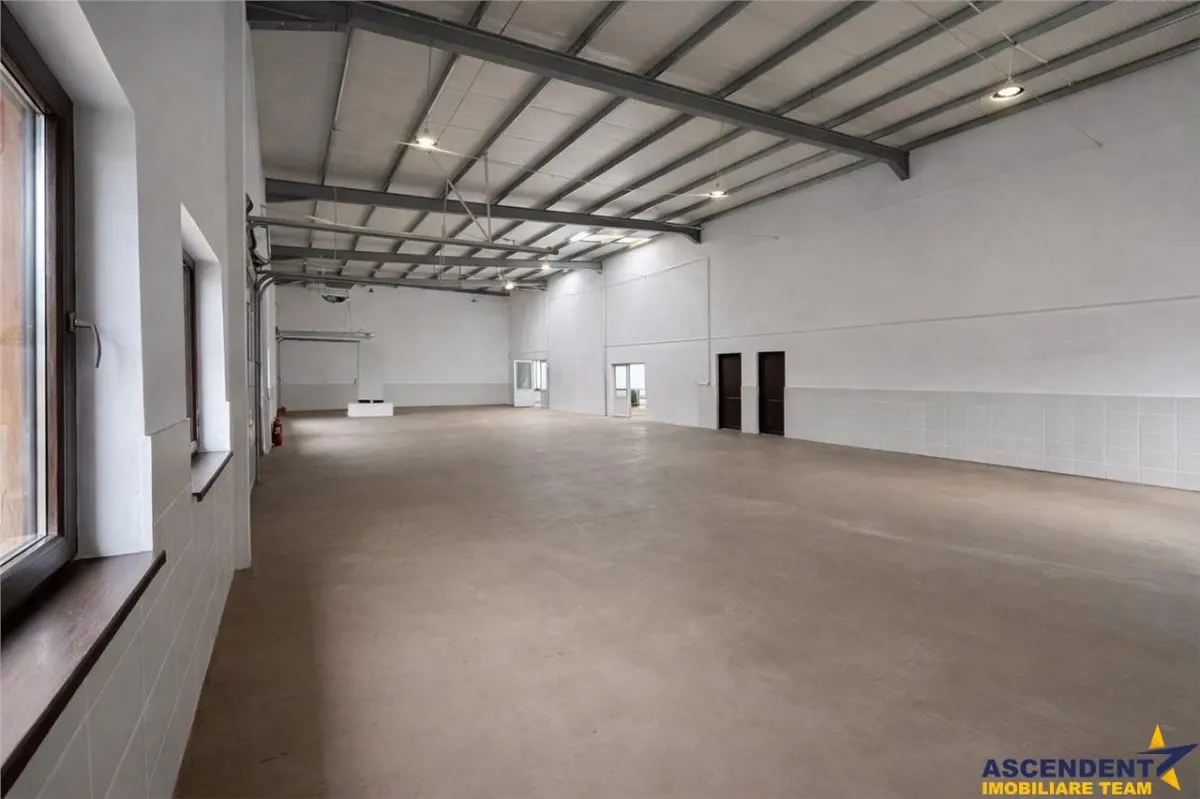 Hala productie premium+pachet afacere, domeniu de 4.700 mp teren,Solovastru, Mures - foto 7