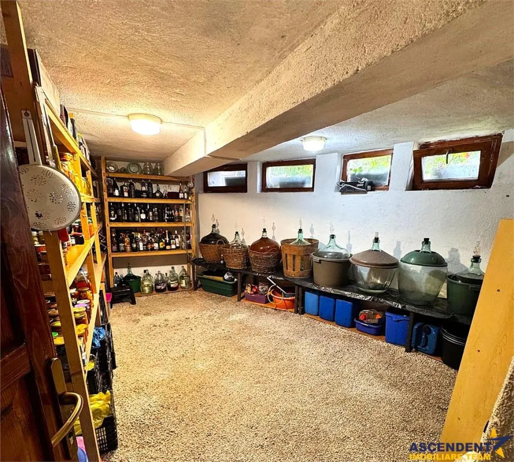 Casa in apreciabil potential,cu terase, curte,gradina echipata,2 pivnite,Str. Rodnei,Central,Targu Mures - foto 17