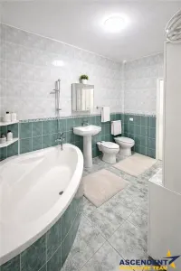 Casa in apreciabil potential,cu terase, curte,gradina echipata,2 pivnite,Str. Rodnei,Central,Targu Mures - foto 10