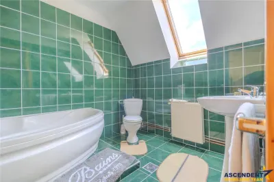 Resedinta versatila, 7 incaperi, camin elegant, terase, lot 800 mp, locuire/ turism. - foto 23