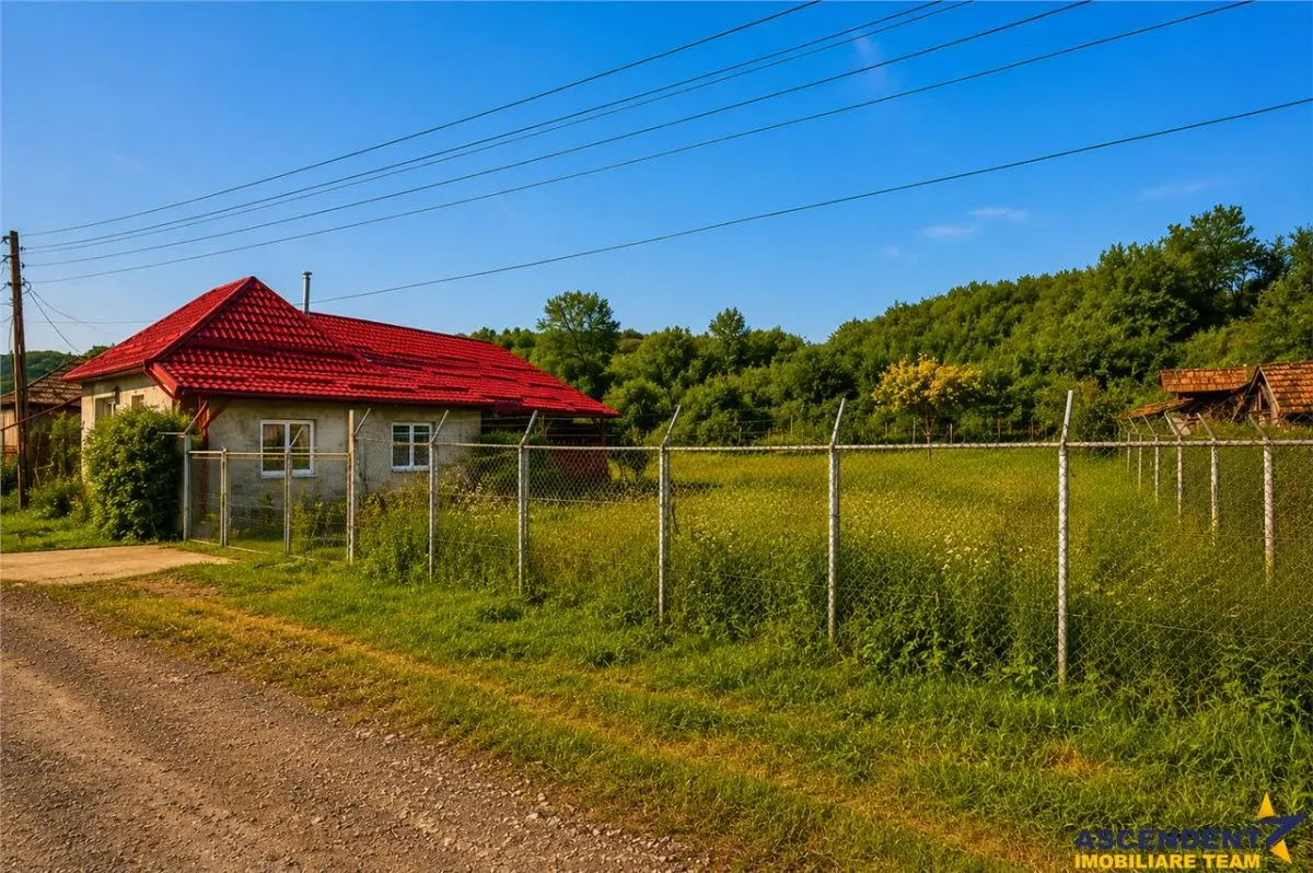 Film&3D!Proprietate cu potential:casa, atelier,domeniu de 2.700 mp: Sanmarghita, Mures - foto 4