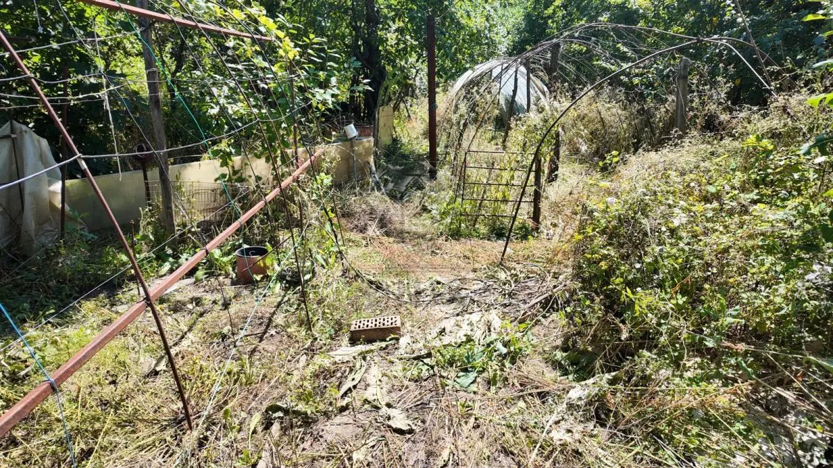 Casa 3 camere cu gradina, Baicoi, Prahova | Onix - foto 4