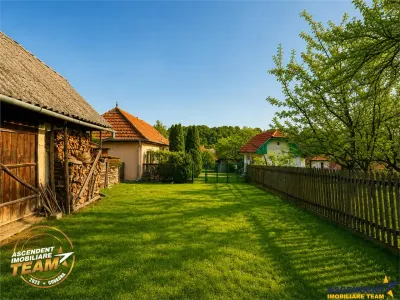 FILM! 5.000mp teren intravilan cu casuta rustica, Dalnic, Covasna - foto 13