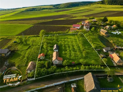 FILM! 5.000mp teren intravilan cu casuta rustica, Dalnic, Covasna - foto 20