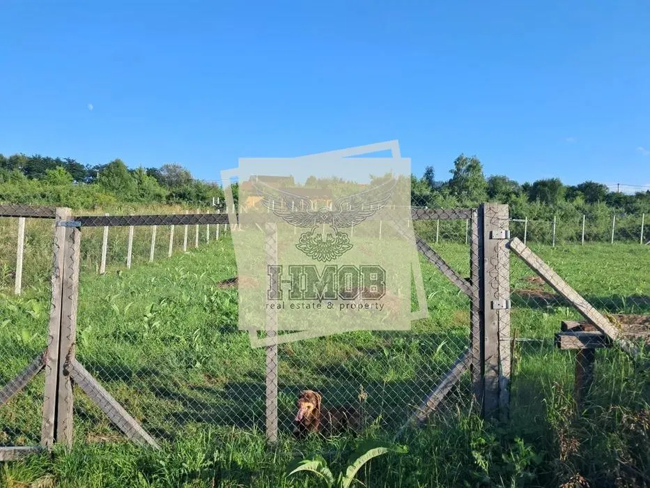 Teren intravilan Daia Noua 500 mp - foto 4